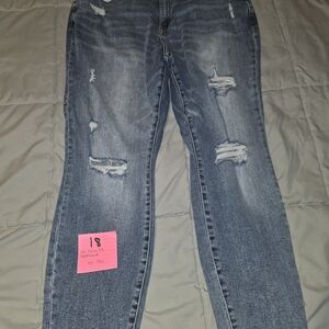 Judy Blue Distressed Skinny Jeans, 18W